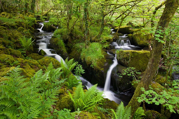 0037 Dartmoor, Devon