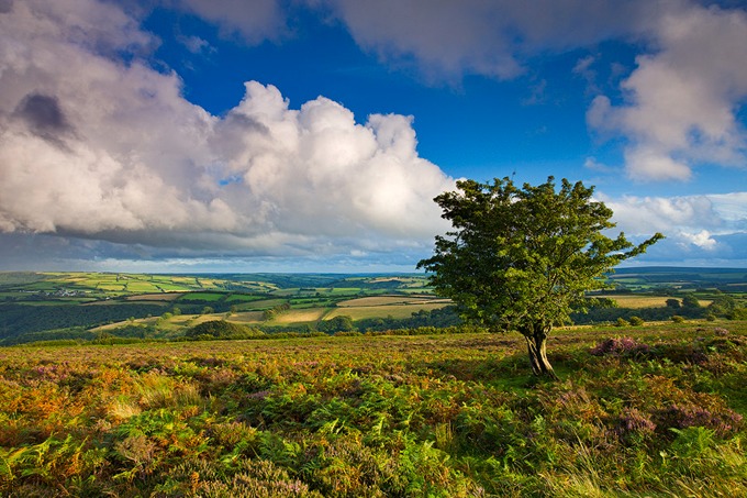 0041 Exmoor, Somerset