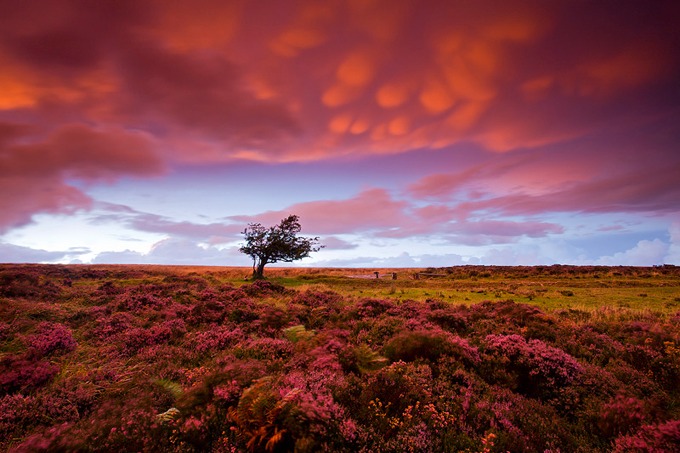 0042 Exmoor, Somerset