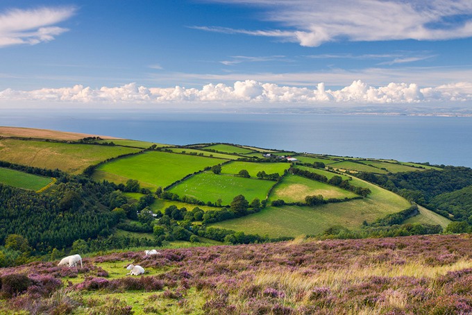 0043 Exmoor, Somerset