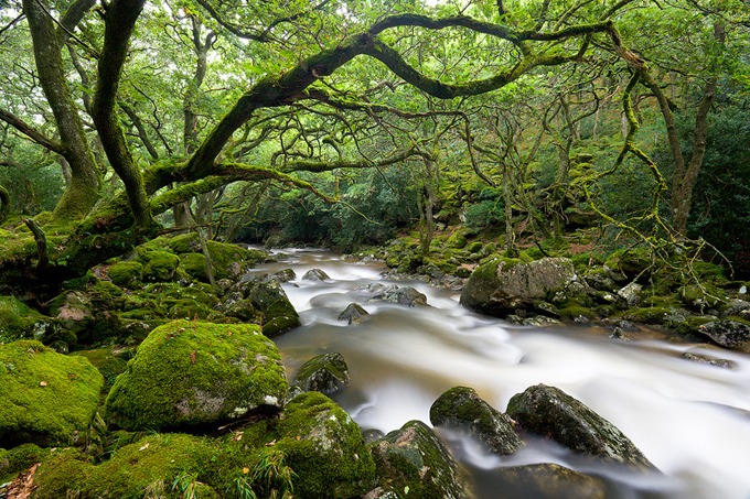 0044 Dartmoor, Devon