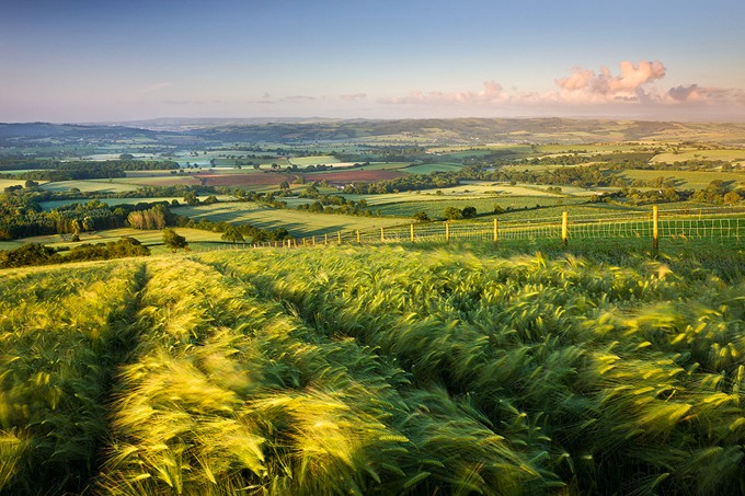 0060 Raddon Hill, Devon