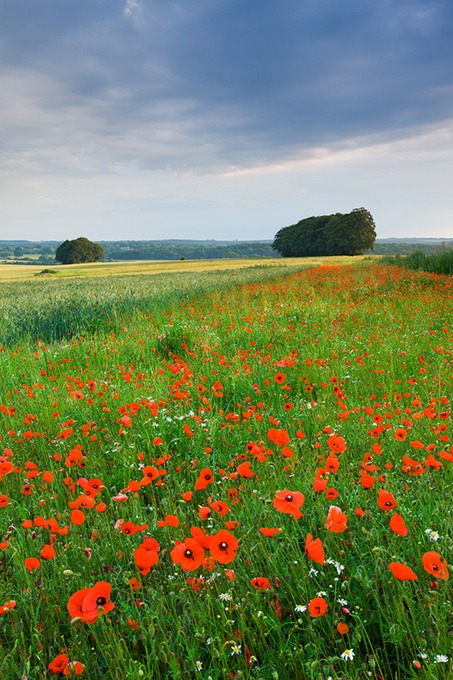 0062 near Salisbury, Wiltshire