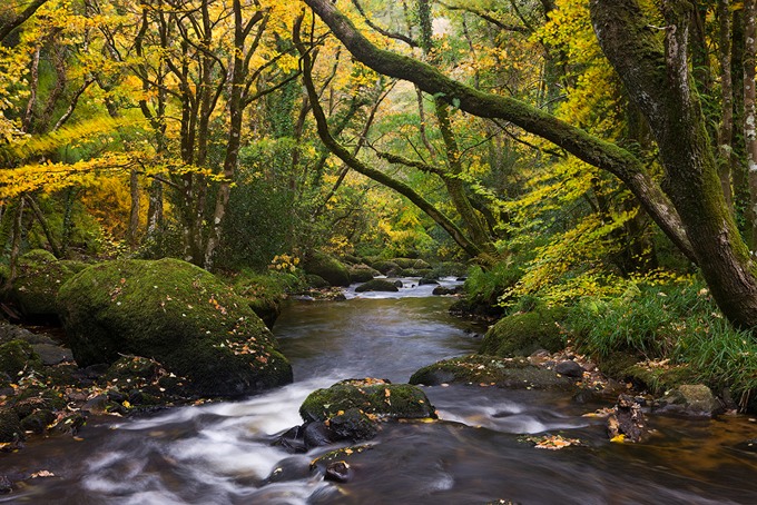 0080 Dartmoor, Devon