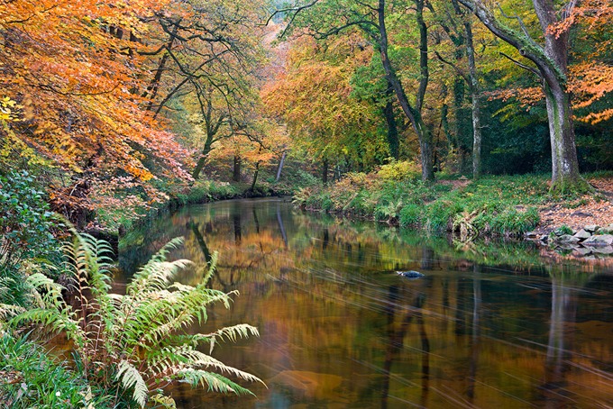 0081 Dartmoor, Devon