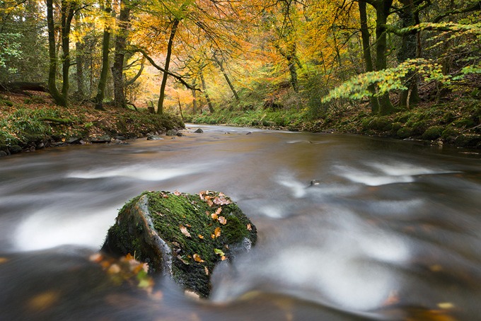 0082 Dartmoor, Devon