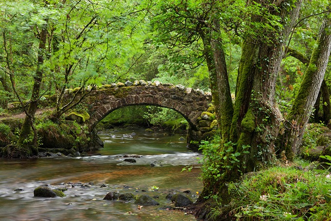 0096 Dartmoor, Devon