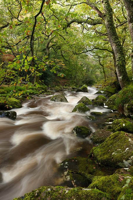 0107 Dartmoor, Devon