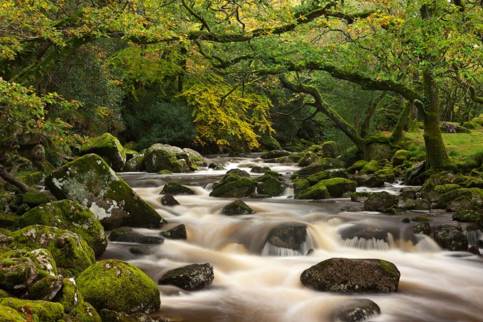 0108 Dartmoor, Devon