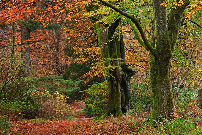 0110 Lake District, Cumbria