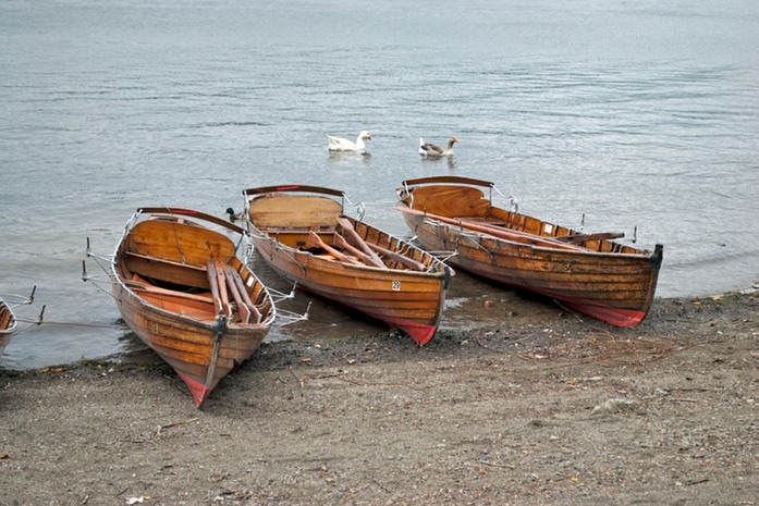 0450 rowing boats.jpg