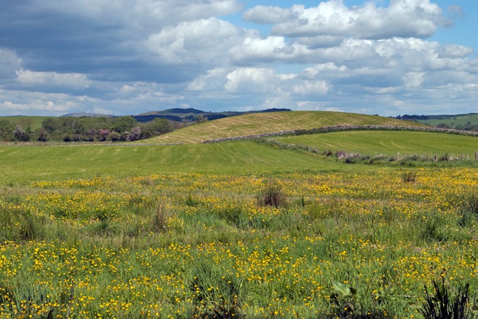 0451 Scottish countryside.jpg