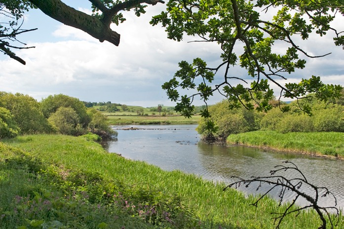 0455 River Dee, Scotland.jpg