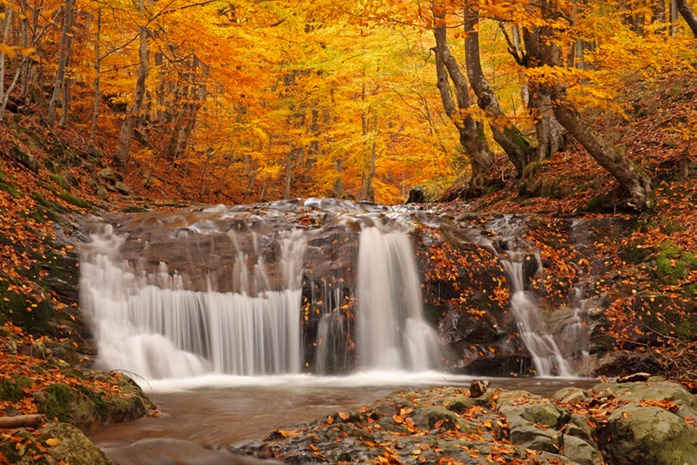 440 Autumn Waterfall.jpg